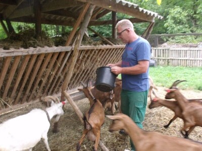 Kleić i njegove koze