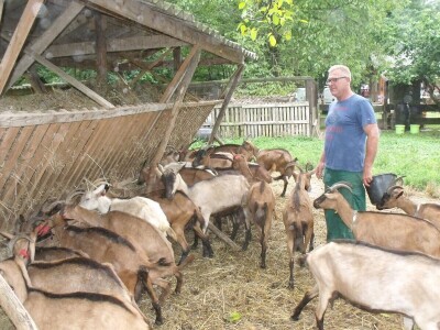 Kleić i njegove koze