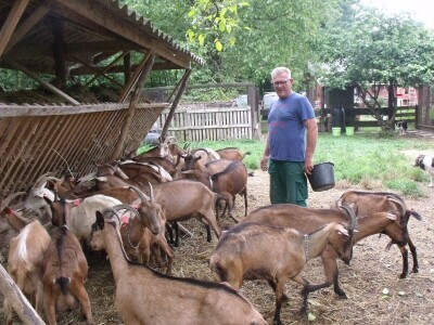 Kleić i njegove koze