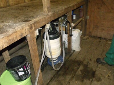 Kleić i njegove koze