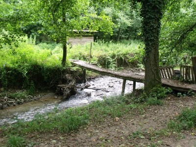 Kleić i njegove koze