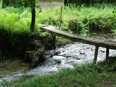 Kleić i njegove koze
