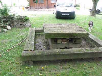 Kleić i njegove koze