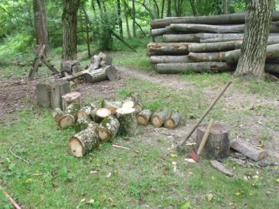 Kleić i njegove koze