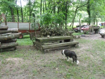 Kleić i njegove koze