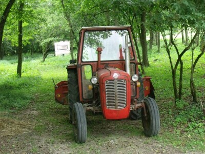 Kleić i njegove koze