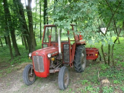 Kleić i njegove koze