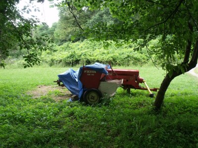 Kleić i njegove koze