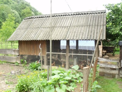 Kleić i njegove koze