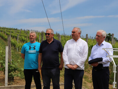 Klimatološka postaja u vinogradu obilježava 20 godina rada Klimatološka postaja u vinogradu obilježava 20 godina rada