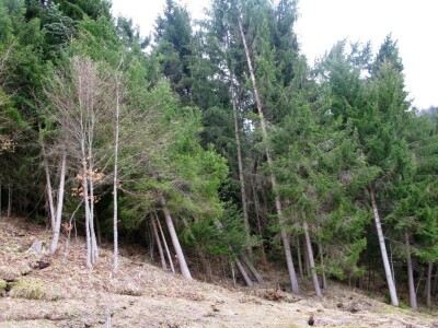 Klizište uslijed pražnjenja jezera