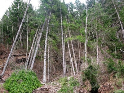 Klizište uslijed pražnjenja jezera