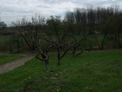 Knežev dol, kušaonica i izletište vinarije Kočevar