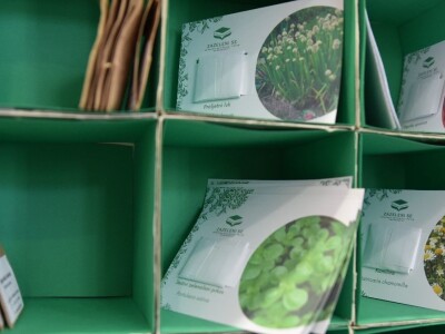 Knjižnica sjemena-bjelovarska knjižnica