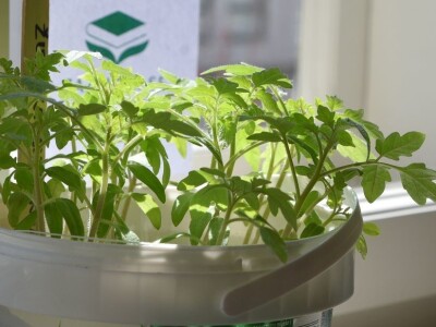 Knjižnica sjemena-bjelovarska knjižnica