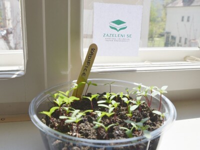 Knjižnica sjemena-bjelovarska knjižnica