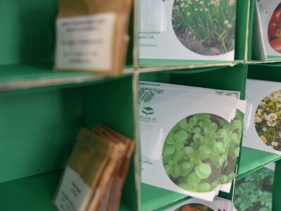 Knjižnica sjemena-bjelovarska knjižnica