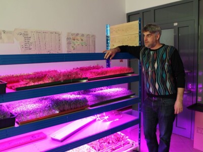 Know Sow Grow, Sergej Lugović Know Sow Grow, Sergej Lugović