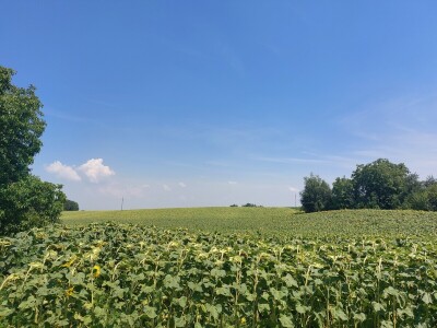 Kod mladog poljoprivrednika Ante Perića u Miljevcima Kod mladog poljoprivrednika Ante Perića u Miljevcima