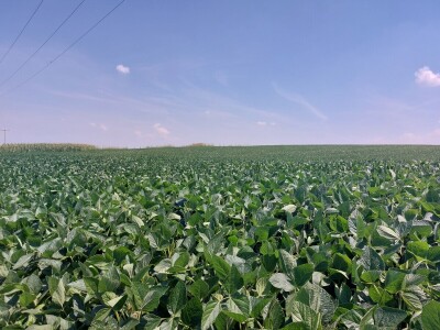 Kod mladog poljoprivrednika Ante Perića u Miljevcima Kod mladog poljoprivrednika Ante Perića u Miljevcima