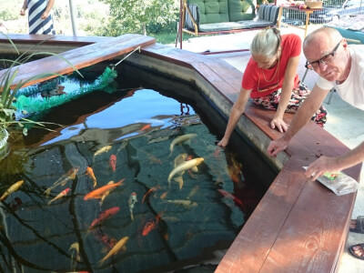 Trudi i Stjepan uživaju sa svojim ljubimcima