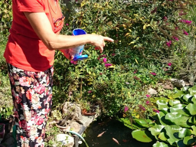 Trudi je iskopala baru uz vrt