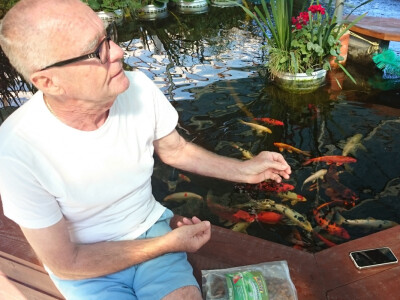 Stjepan se uzgojem koi šarana bavi tri godine