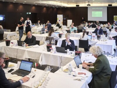 Koja je malvazija najbolja na svijetu i tko su ovogodišnji šampioni Vinistrinog ocjenjivanja?