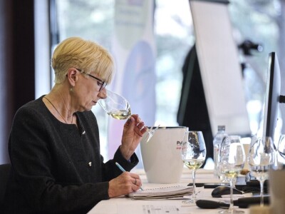 Koja je malvazija najbolja na svijetu i tko su ovogodišnji šampioni Vinistrinog ocjenjivanja?