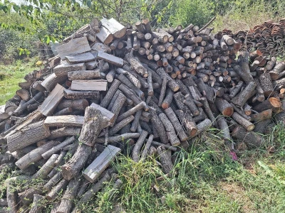 Koje drvo je najkvalitetnije za ogrev?