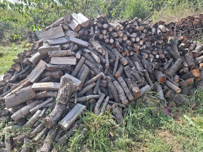 Koje drvo je najkvalitetnije za ogrev?