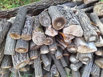 Koje drvo je najkvalitetnije za ogrev?