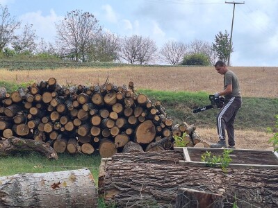 Koje drvo je najkvalitetnije za ogrev?