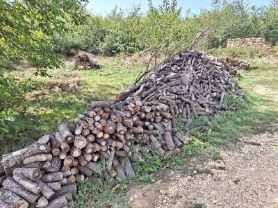 Koje drvo je najkvalitetnije za ogrev?