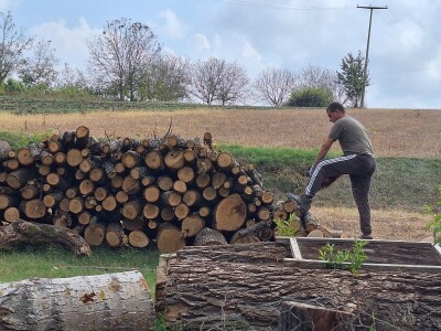 Koje drvo je najkvalitetnije za ogrev?