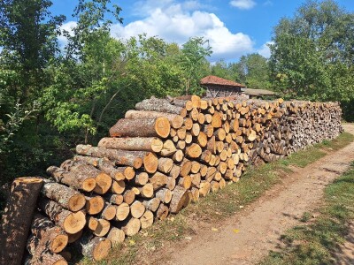 Koje drvo je najkvalitetnije za ogrev?
