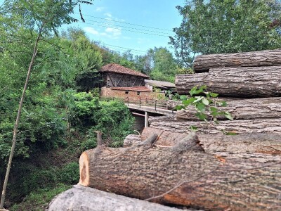 Koje drvo je najkvalitetnije za ogrev?