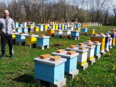 Koje voće najbolje ide uz med?