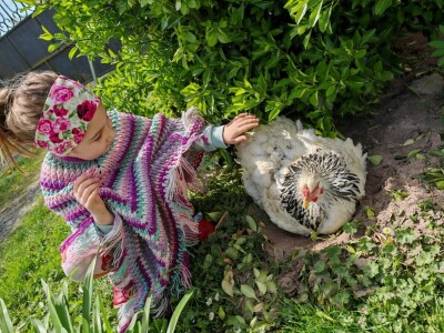 Kokoši Emine Benije Šomođi nose jaja različitih boja