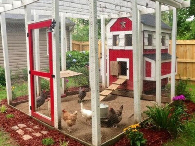 Kreativni kokošinjac Kreativni kokošinjac