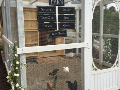 Kokošinjac za ljubimice Kokošinjac za ljubimice