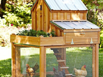 Kokošinjac od drveta Kokošinjac od drveta