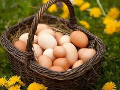 Kokošja jaja iz eko-uzgoja