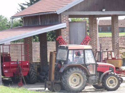 Kokoške u dvorištima