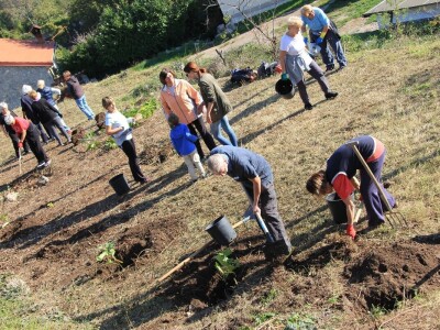 Kolektivna sadnja drveća u Kastvu