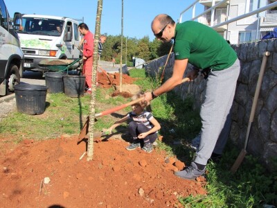 Kolektivna sadnja drveća u Kastvu