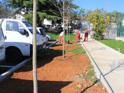 Kolektivna sadnja drveća u Kastvu