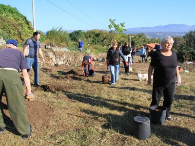 Kolektivna sadnja drveća u Kastvu