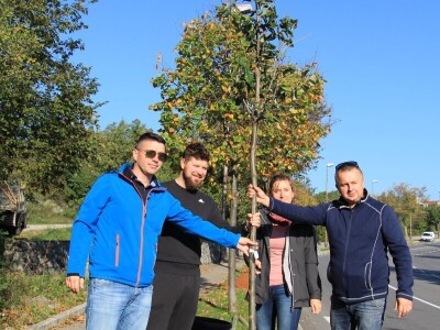 Kolektivna sadnja drveća u Kastvu