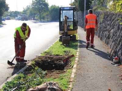 Kolektivna sadnja drveća u Kastvu